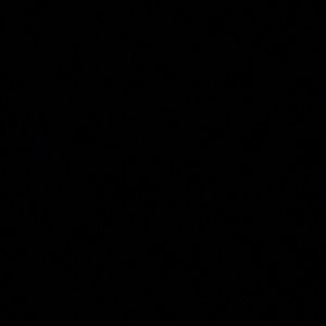 Meet your Posher, Rory